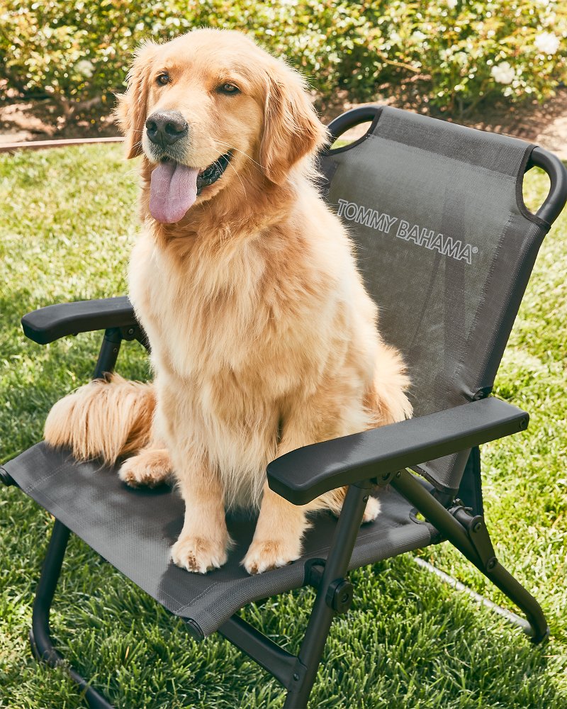 Tommy Bahama | Tommy Bahama Excursion Chair / Grey