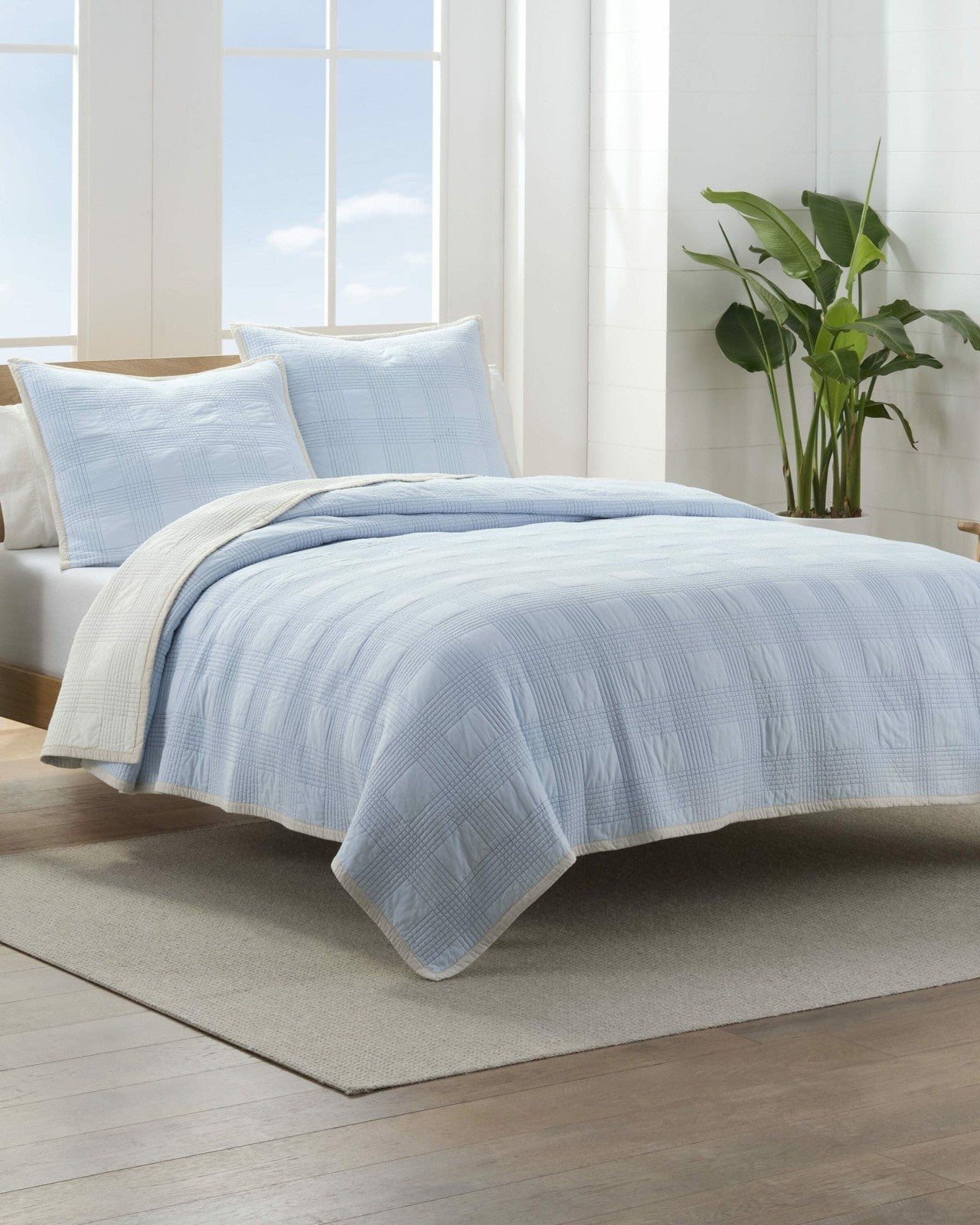 Ivory/Blue,Twin