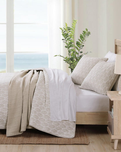 Tommy Bahama | Bahama Fronds Reversible 2-Piece Twin Quilt Set / Brown