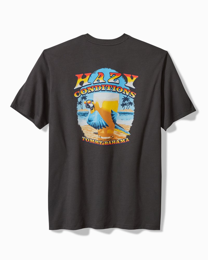 Tommy Bahama | Hazy Conditions Graphic T-Shirt / Coal