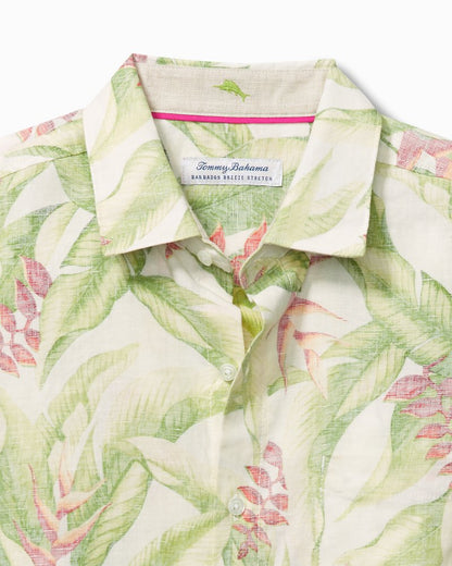 Tommy Bahama | Barbados Breeze Calypso Fronds Shirt / White