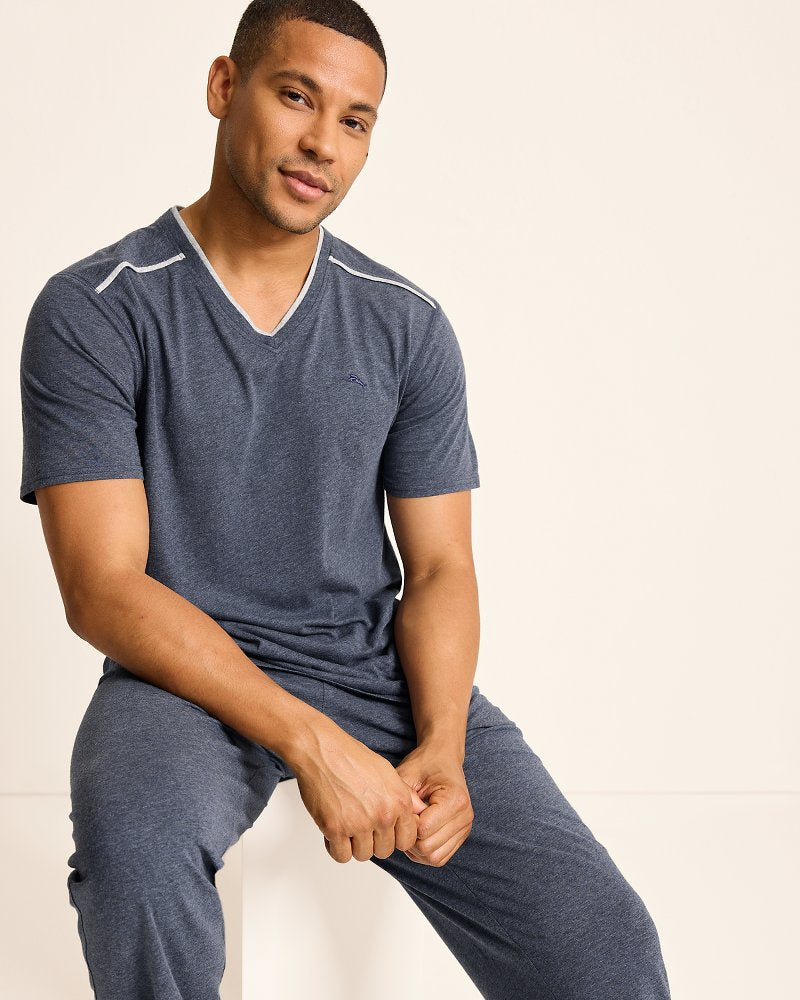 Tommy Bahama | Jersey Short-Sleeve V-Neck T-Shirt / Heathered Blue