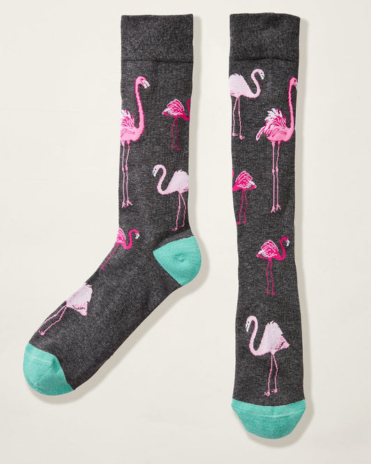 Tommy Bahama | Let's Flamingle Socks / Charcoal Heather