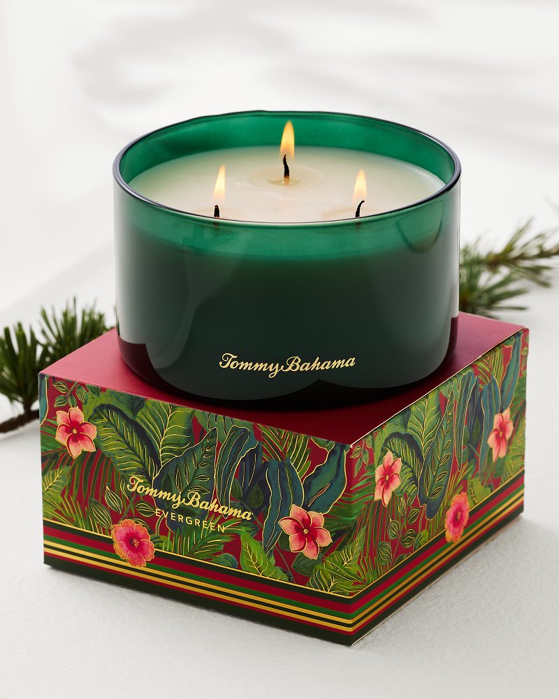 Tommy Bahama | Evergreen 14.5-oz. Boxed 3-Wick Candle / Evergreen