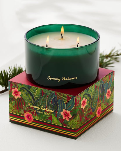 Tommy Bahama | Evergreen 14.5-oz. Boxed 3-Wick Candle / Evergreen