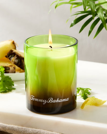 Tommy Bahama | Pineapple Cilantro 7.5-oz. Boxed Poured Candle / Pineapple Cilantro